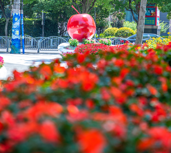 上海苹果乐园口袋公园丨中国上海丨上海北斗星景观设计院有限公司-45