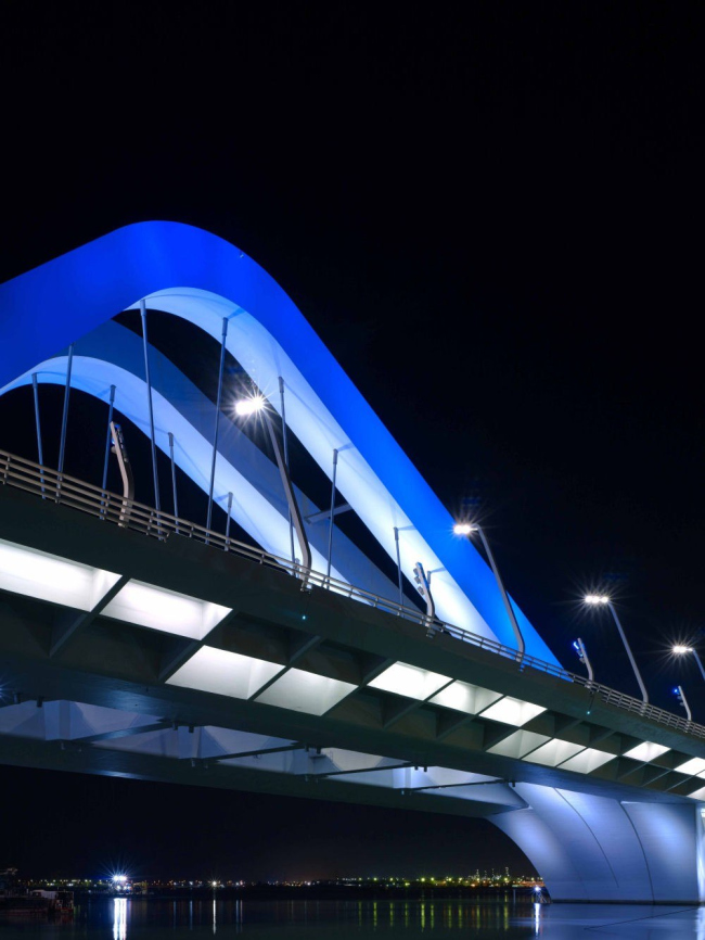 谢赫·扎耶德桥丨阿联酋阿布扎比丨扎哈·哈迪德（Zaha Hadid）-50