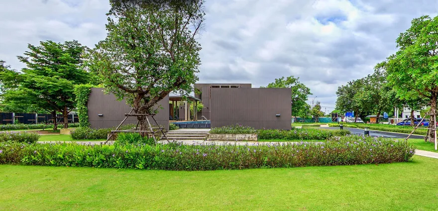 普拉萨房地产公司的喜悦@场景-28