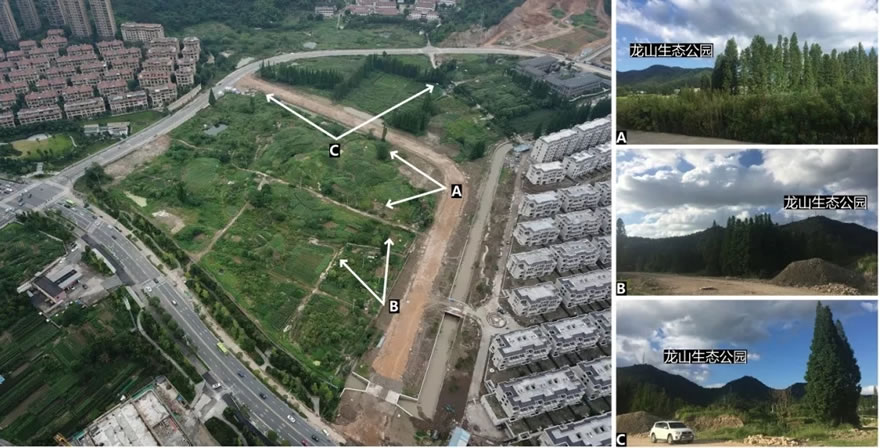 天阳云栖龙山-13