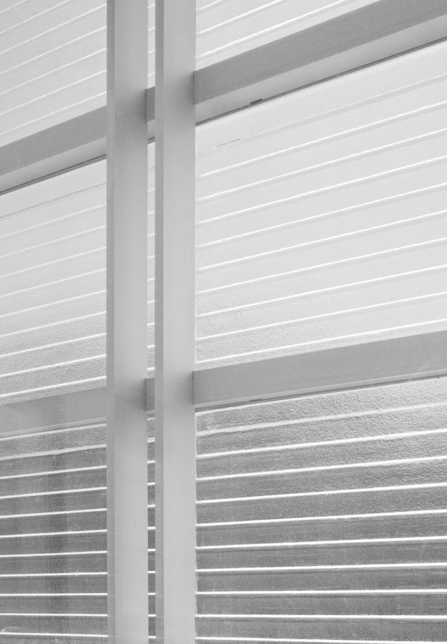 普林斯顿大学神经生物学与心理学综合体丨美国新泽西丨拉斐尔·莫内奥,Davis Brody Bond-44