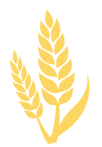 华森项目|广州花都九龙湖度假区生态智慧建筑典范-7