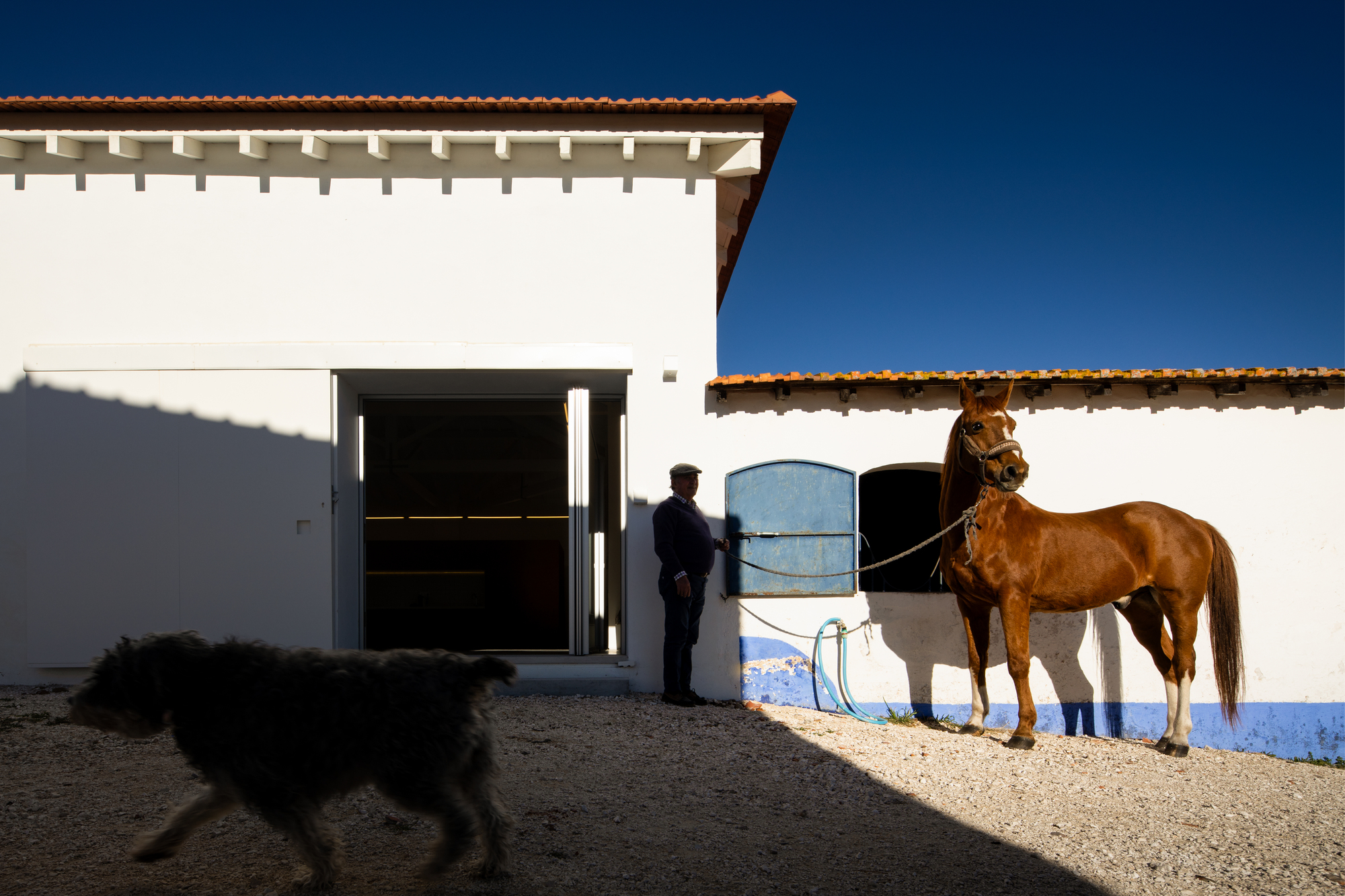 Landscape Observatory of Charneca / Joao Morais-28