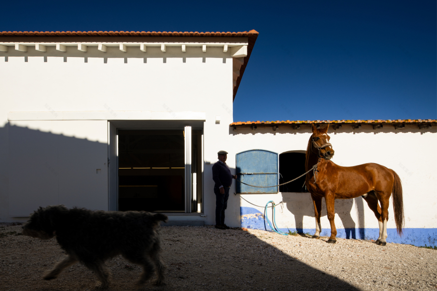 Landscape Observatory of Charneca / Joao Morais-28