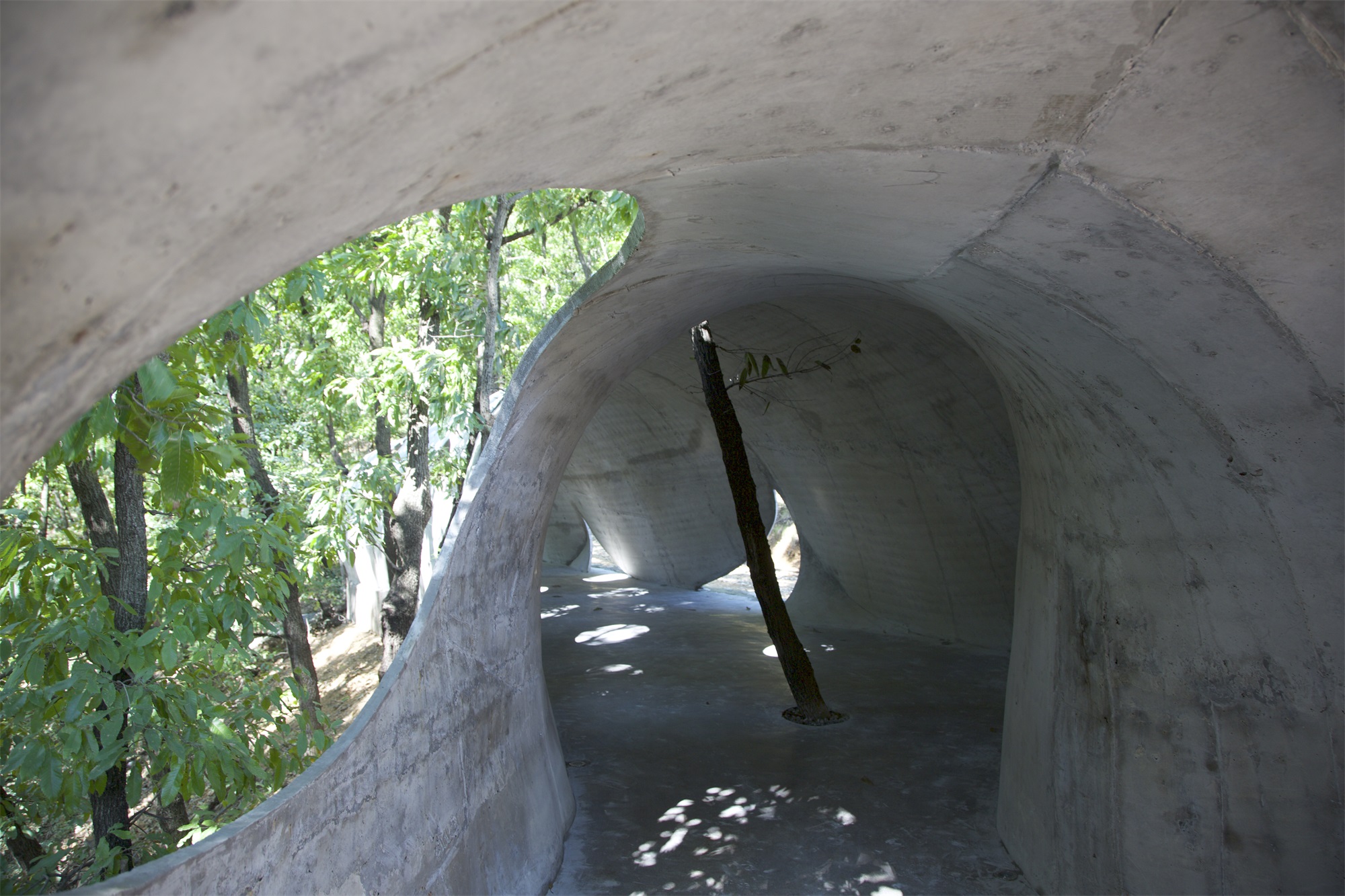 卧虎藏龙美术馆丨中国日照丨孔祥伟工作室-107