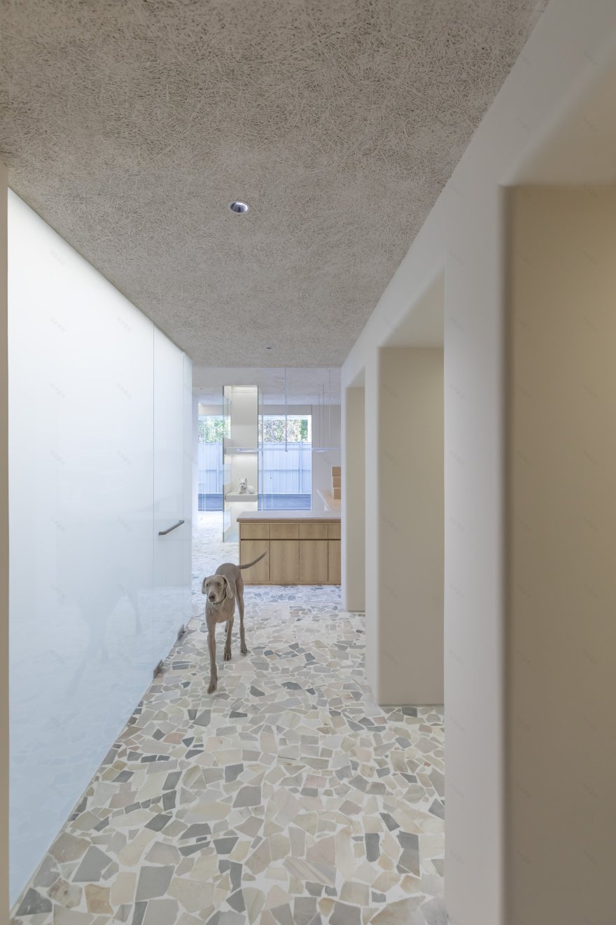 Paw 宠物店丨中国北京丨Office AIO-10