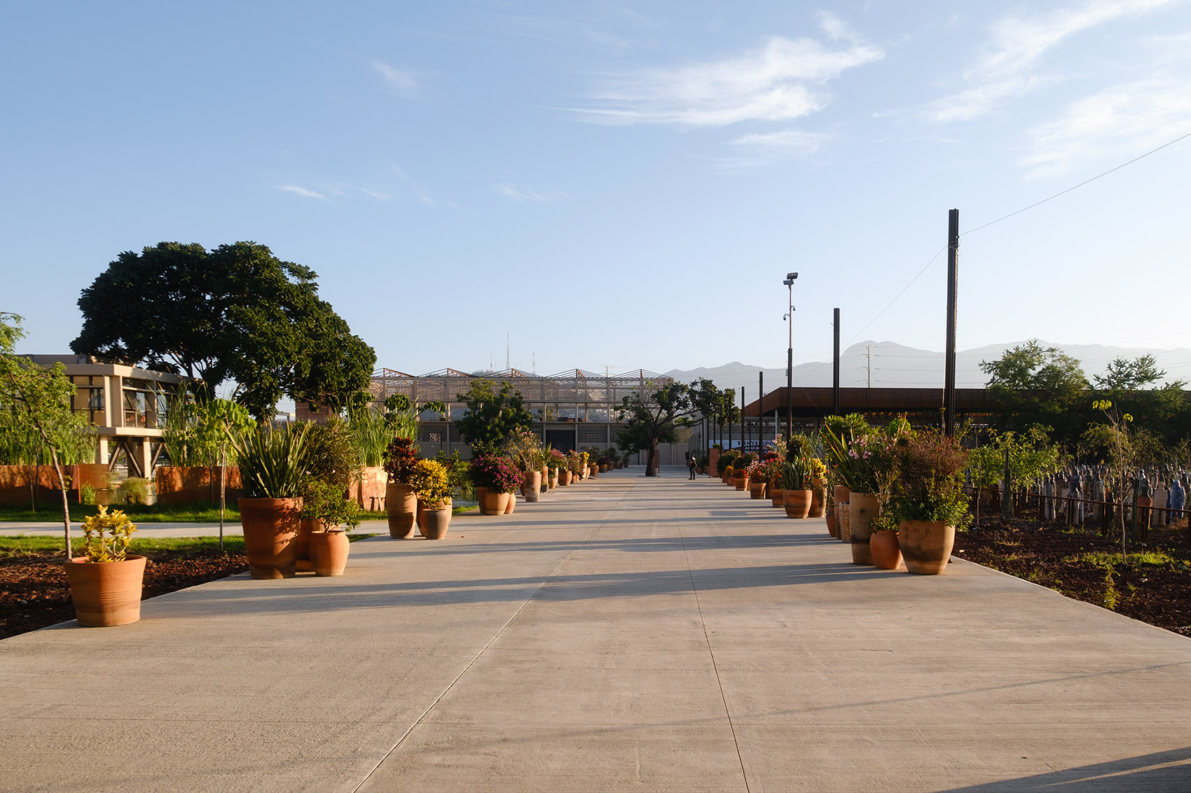 Parque Primavera Oaxaqueña Cho Ndobá城市更新丨墨西哥丨RootStudio-35