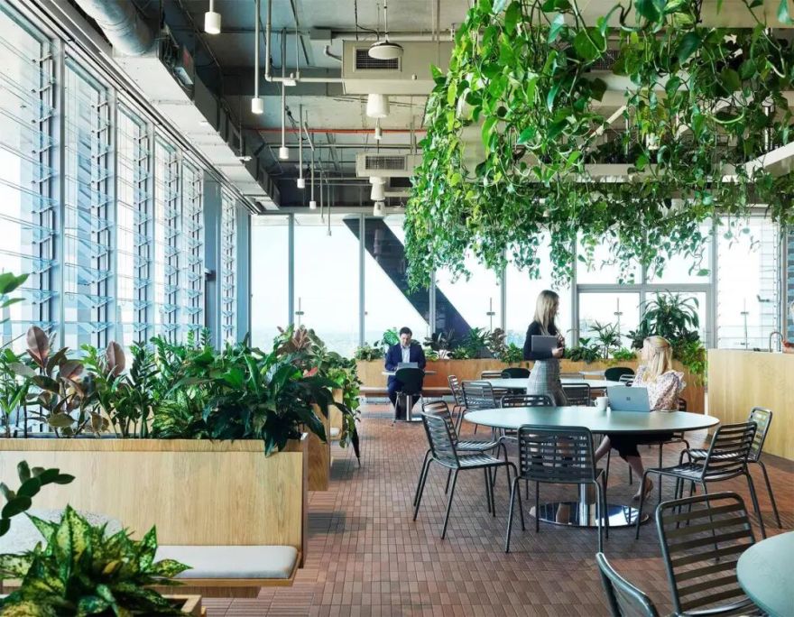 澳洲养老基金ART布里斯班总部丨澳大利亚布里斯班丨Cox Architecture-23