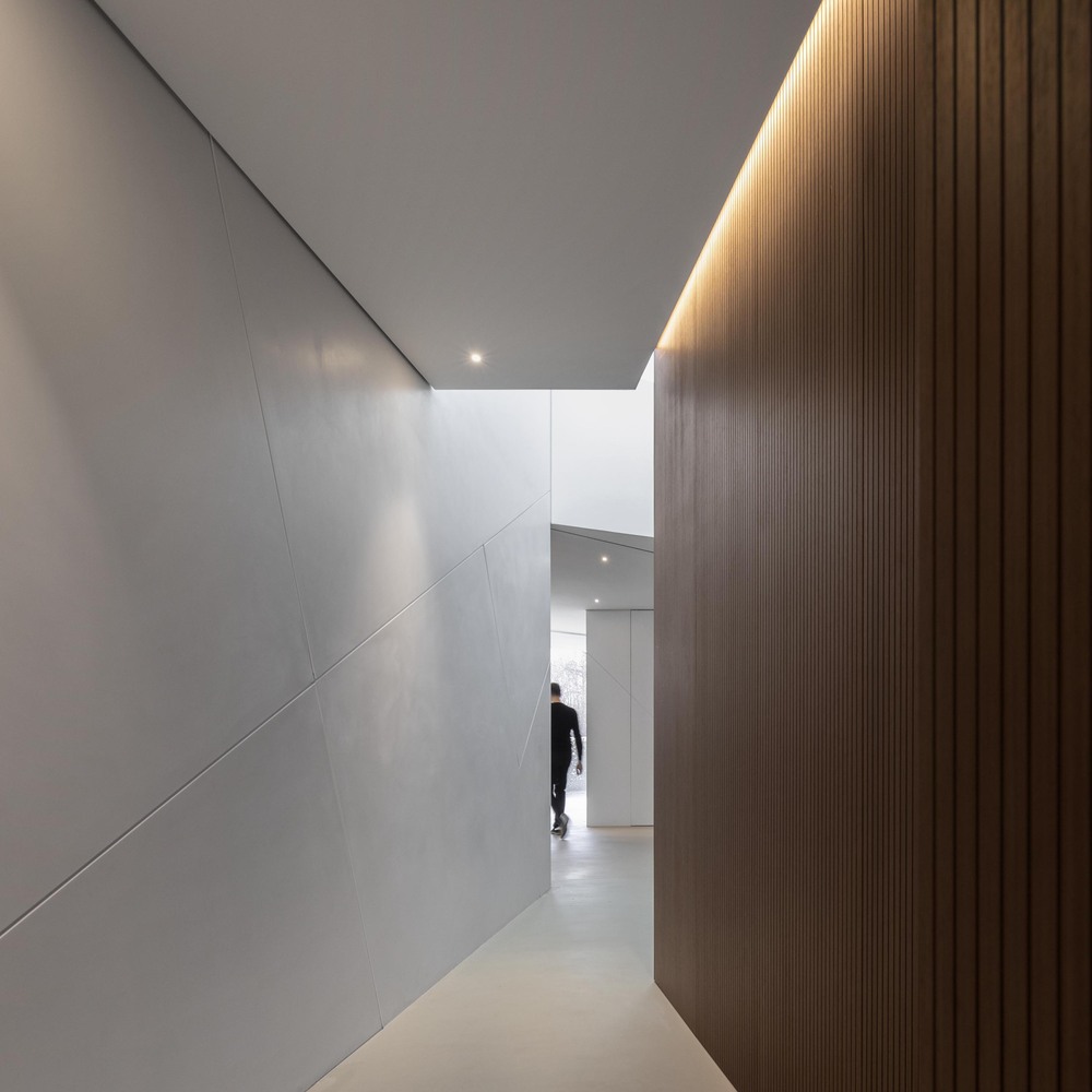 Diamond Tree（钻石树）-35