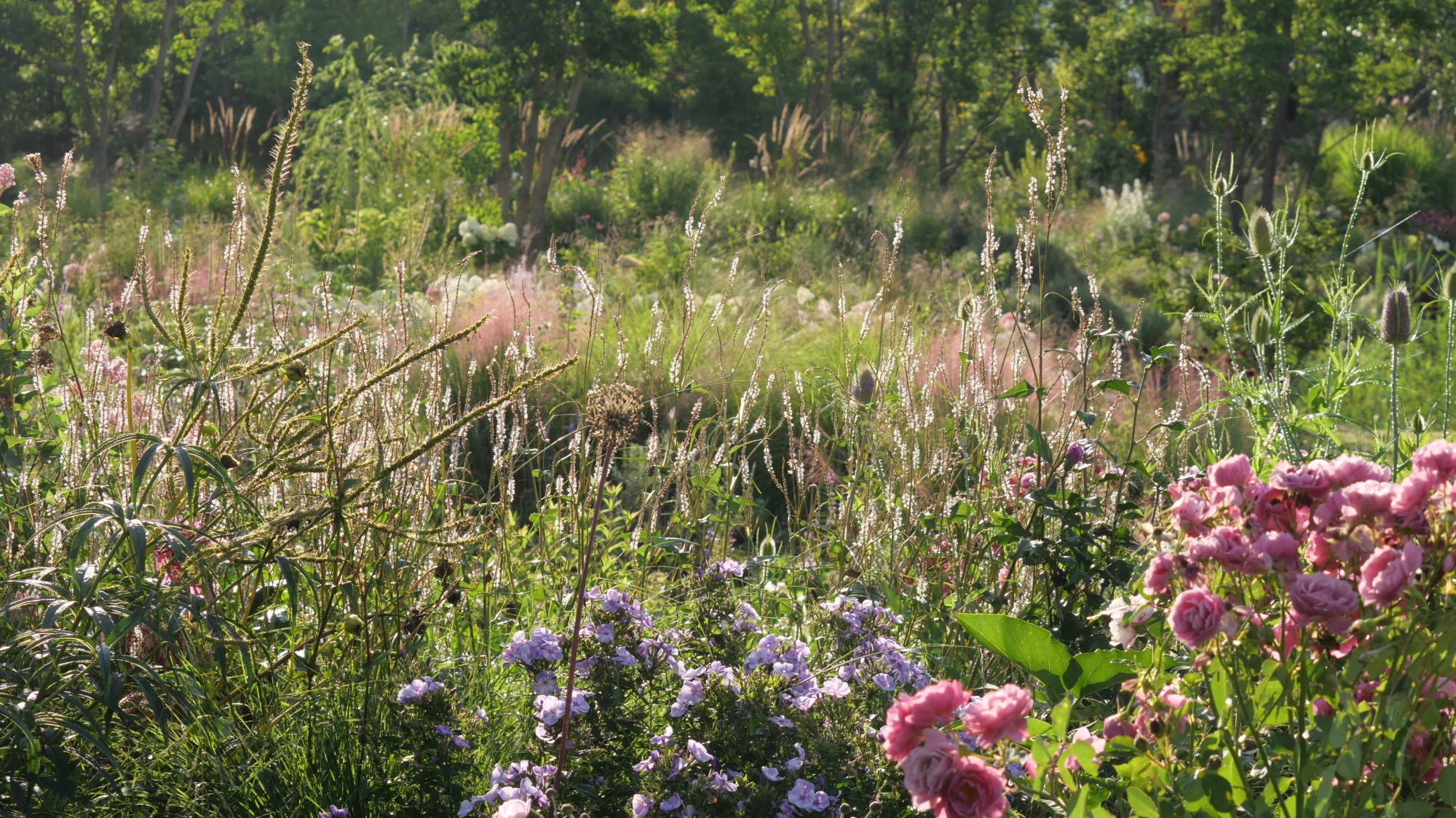 大理山下花园丨中国大理丨上海叙野景观设计有限公司-91