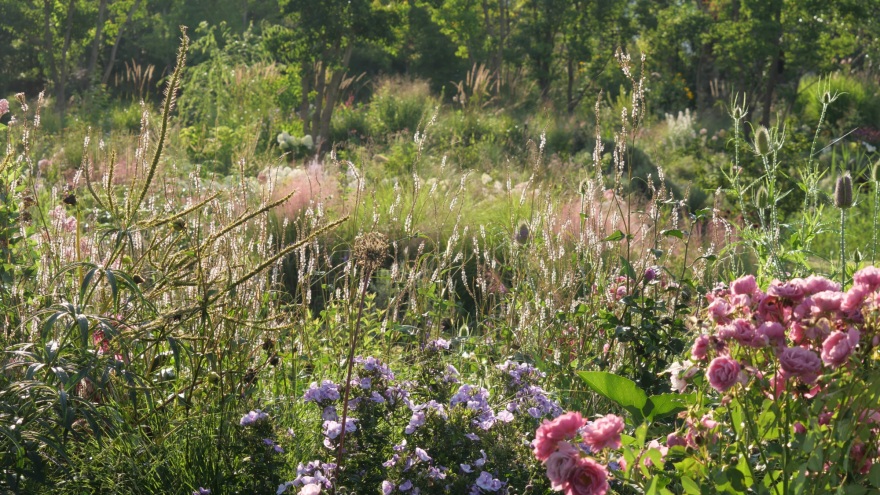大理山下花园丨中国大理丨上海叙野景观设计有限公司-91