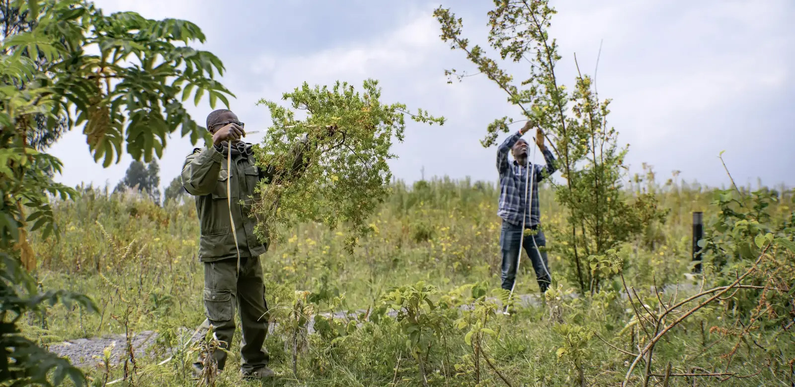 戴安·弗西基金会 & 艾伦·德詹尼丝园区丨卢旺达丨MASS Design Group + TENxTEN-48