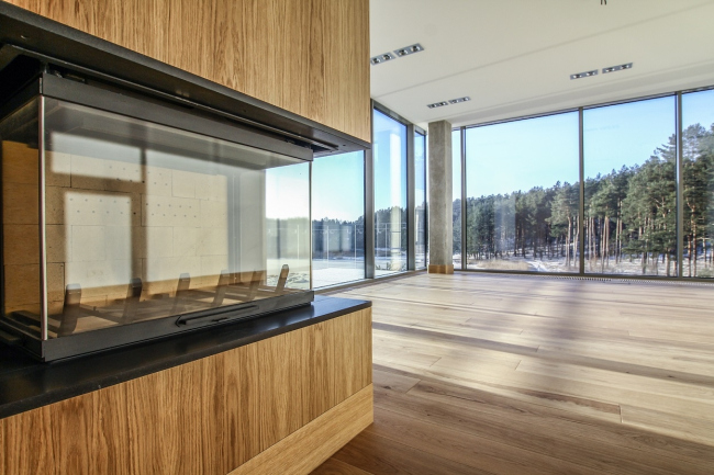 丨拉脱维亚丨AB3D-66