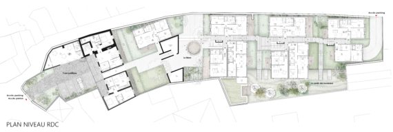 Pierres, Pavés, Bouleaux – 31 logements en bois dans un jardin / Triel-sur-Seine – Virtuel-8