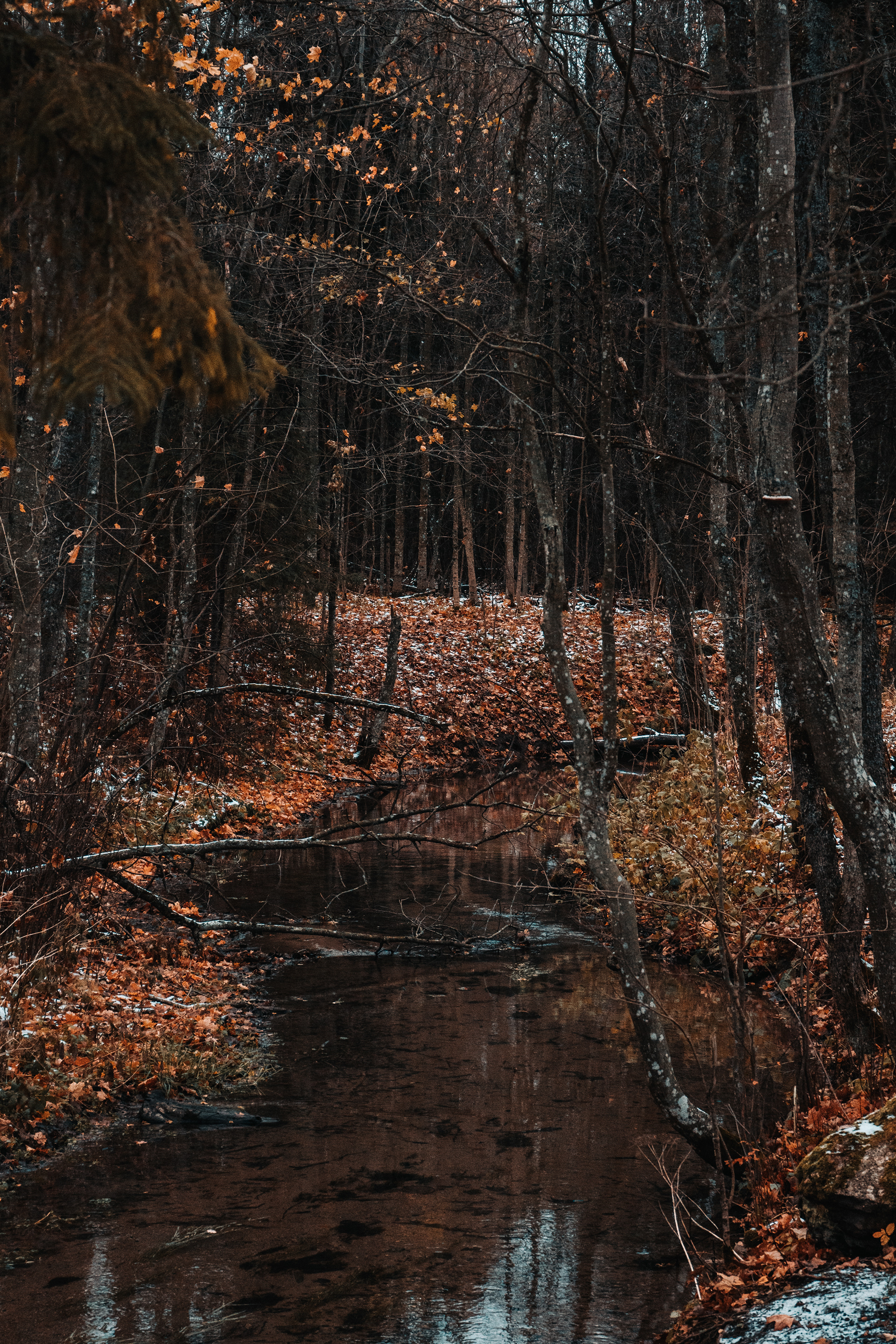 Demidov 庄园周边景观设计-13