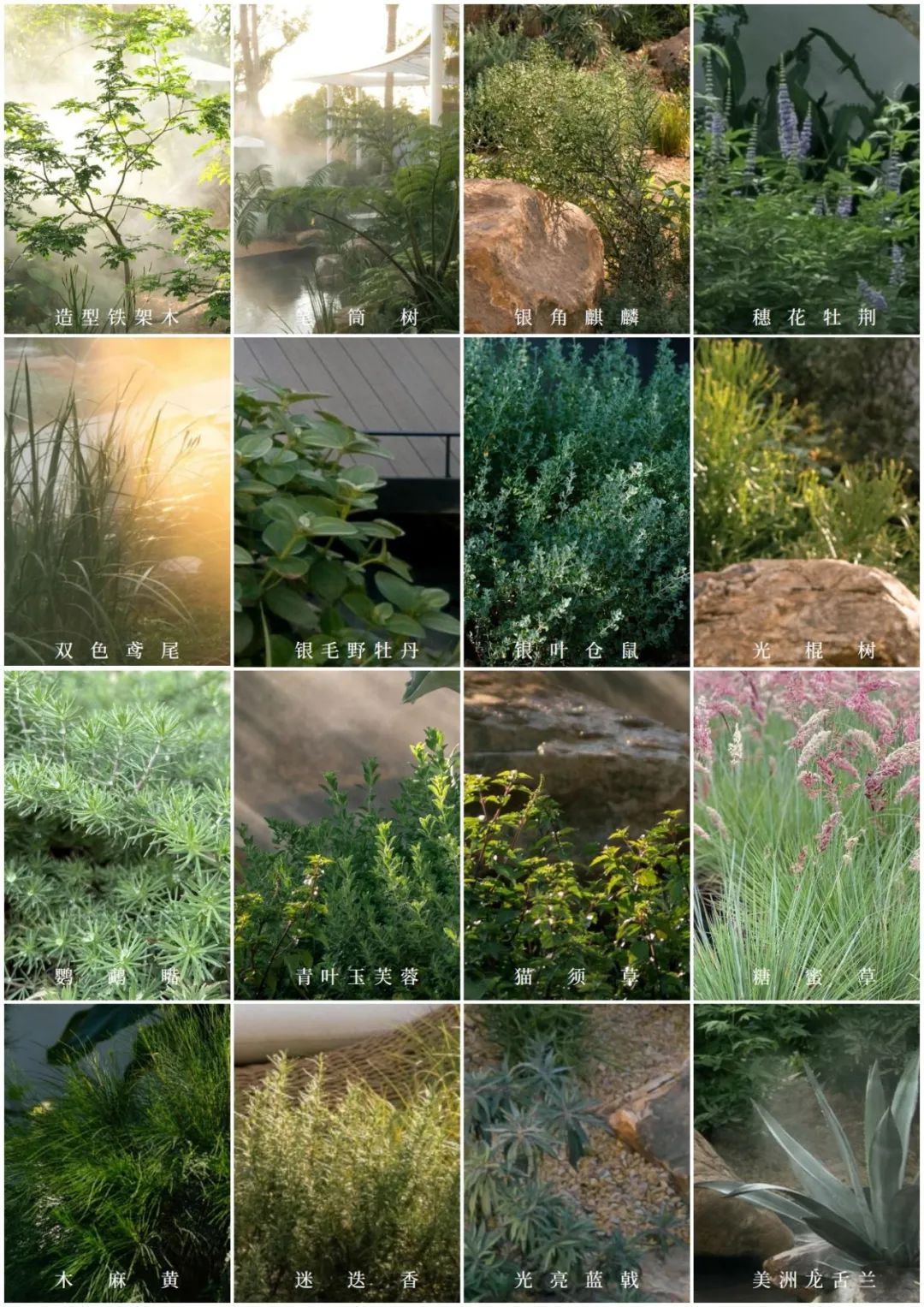 海口江东麓岛阅海新作样板区丨中国海口丨成都市易境园艺有限责任公司,DEAL德珈设计等-78