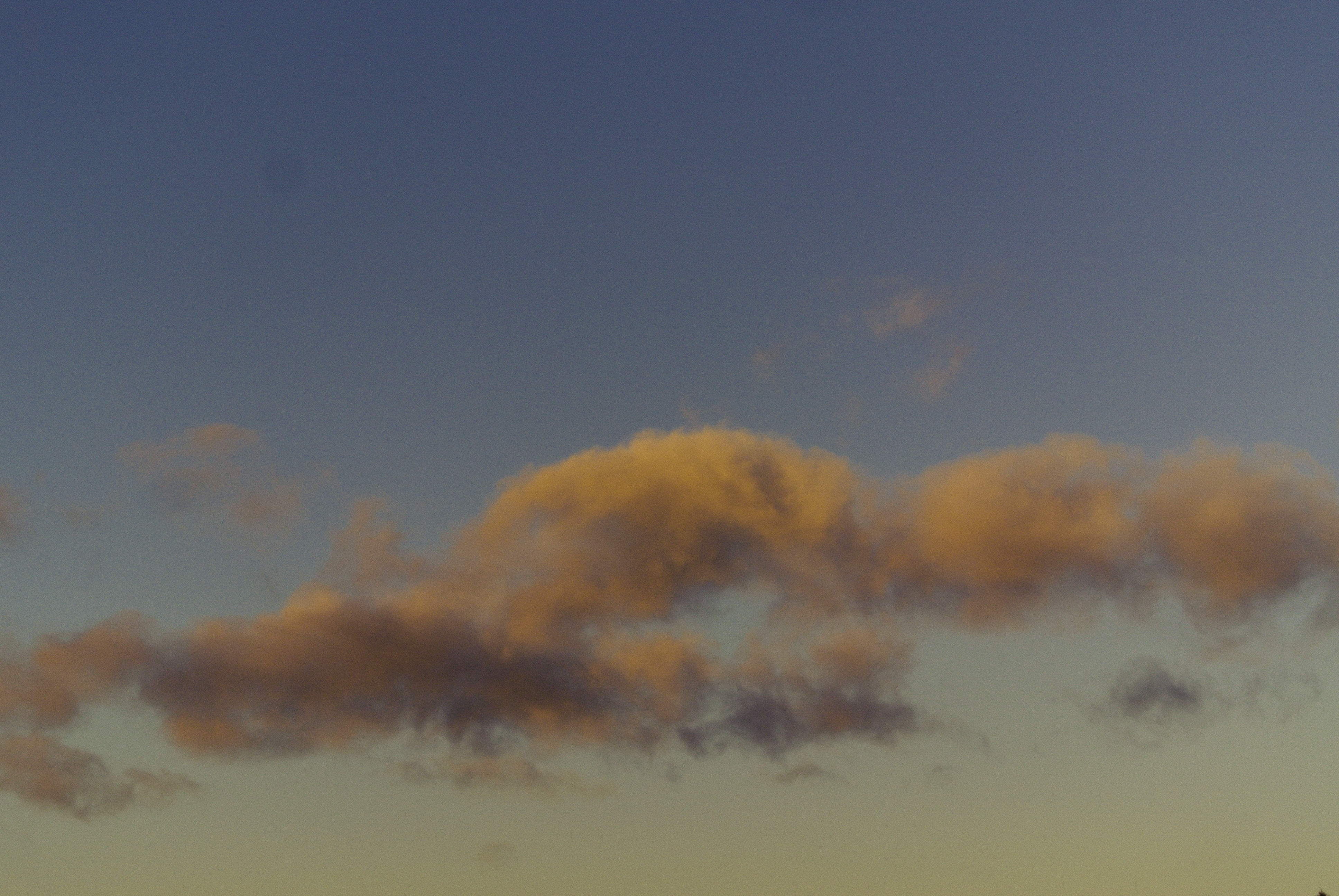 birches相关项目丨俄罗斯莫斯科丨信息未提及-6