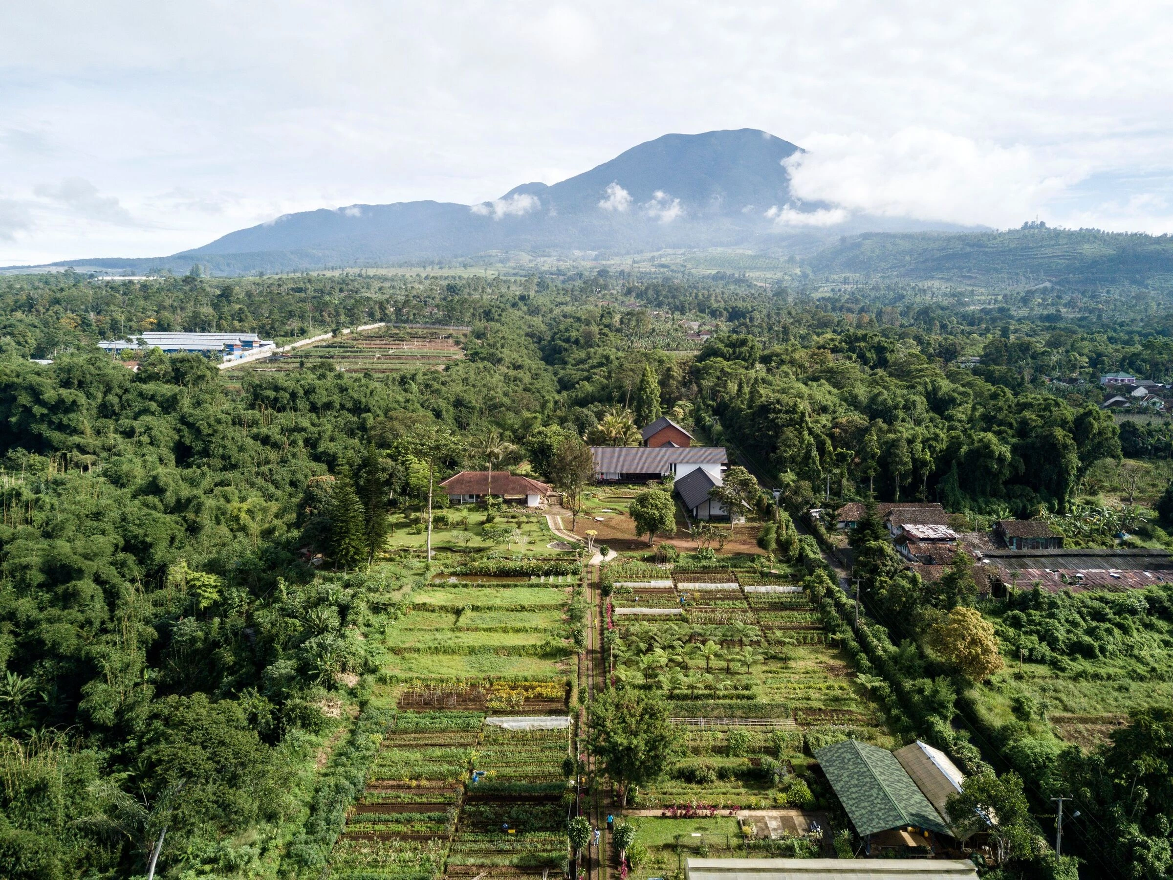 印尼苏卡森塔伊农场住宿-20
