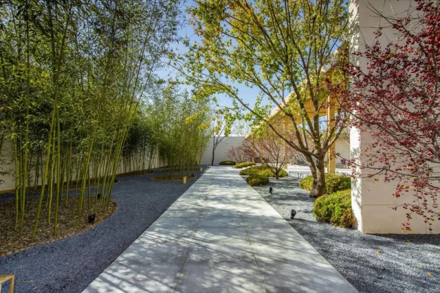 披着月光读春秋 | 北京远洋·海晏春秋-54