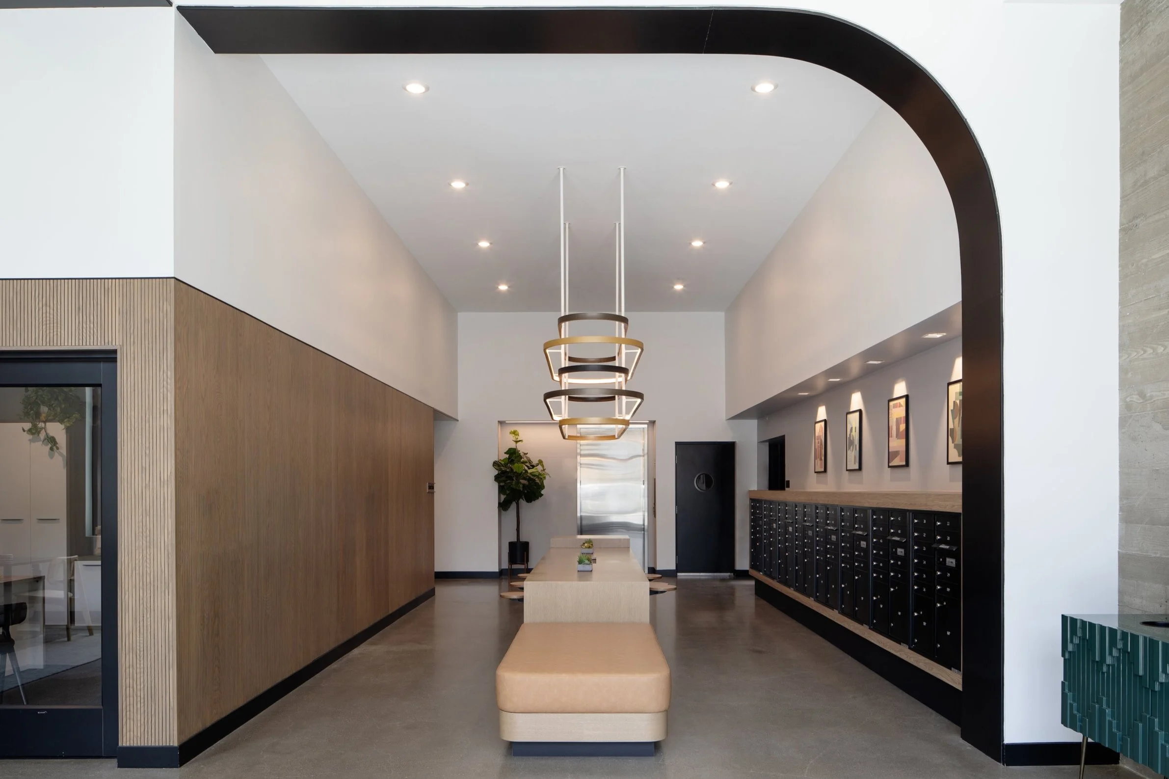 丨美国丨Vida Design-7