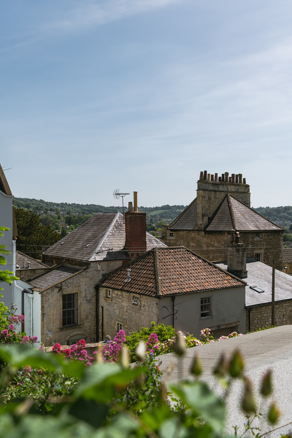 巴斯格鲁吉亚家园 | 电视制片人 Ann Lalić的宜居设计-22