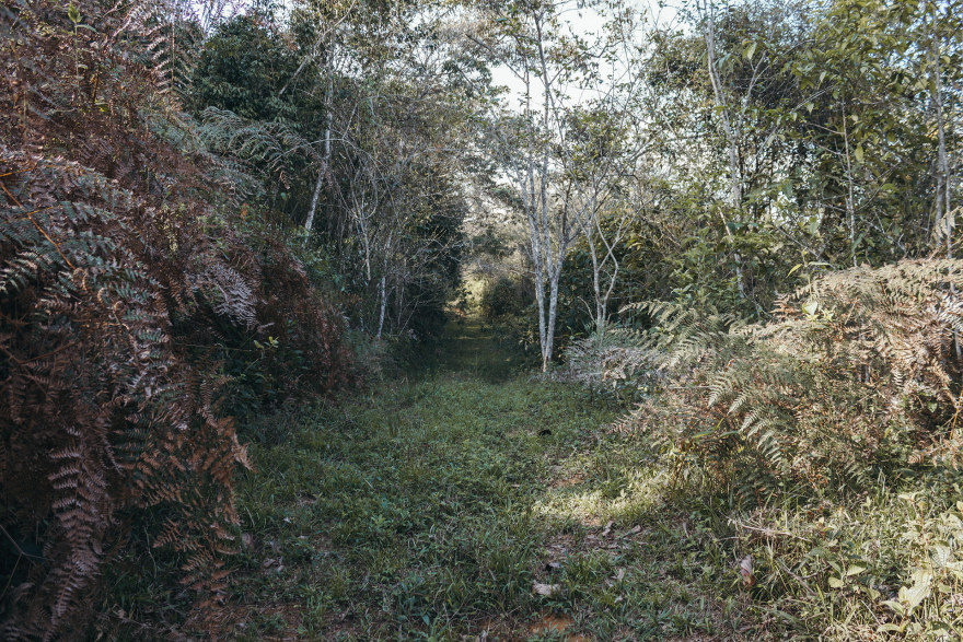 CMG 营地测绘丨委内瑞拉-36