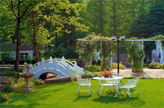 文艺大叔租下8亩林场,花16年种花养草,如今惊艳世人,连美国杂志都给他点赞-70