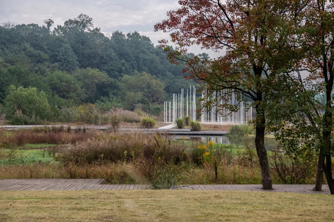 杭州筱湖公园丨中国杭州丨张唐景观-25