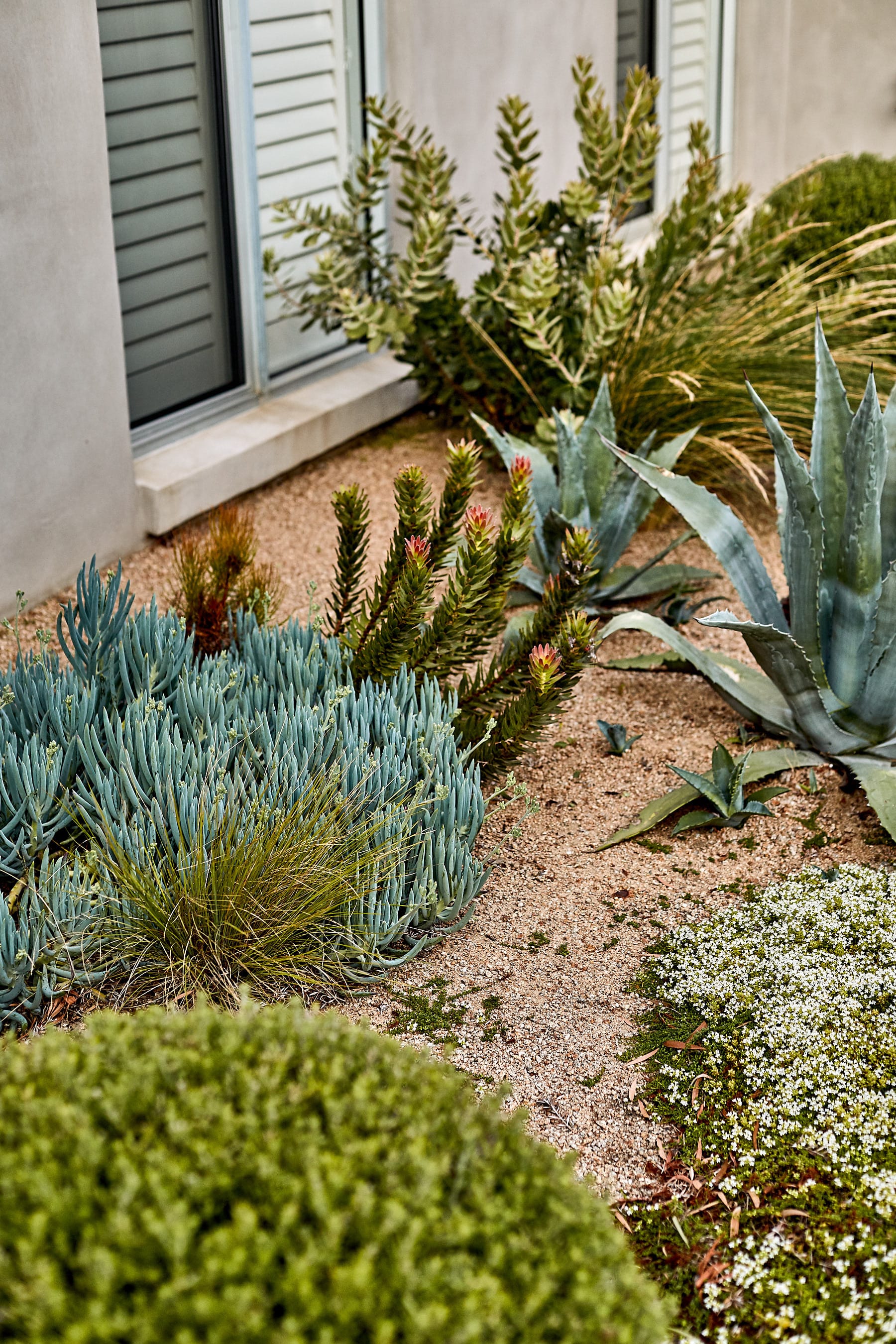 莫宁顿梦境花园-26