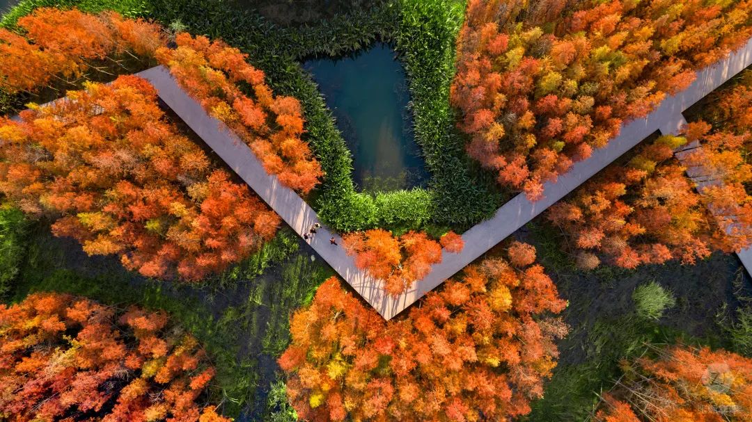 南昌市鱼尾洲湿地公园丨中国南昌丨北京土人城市规划设计股份有限公司-18