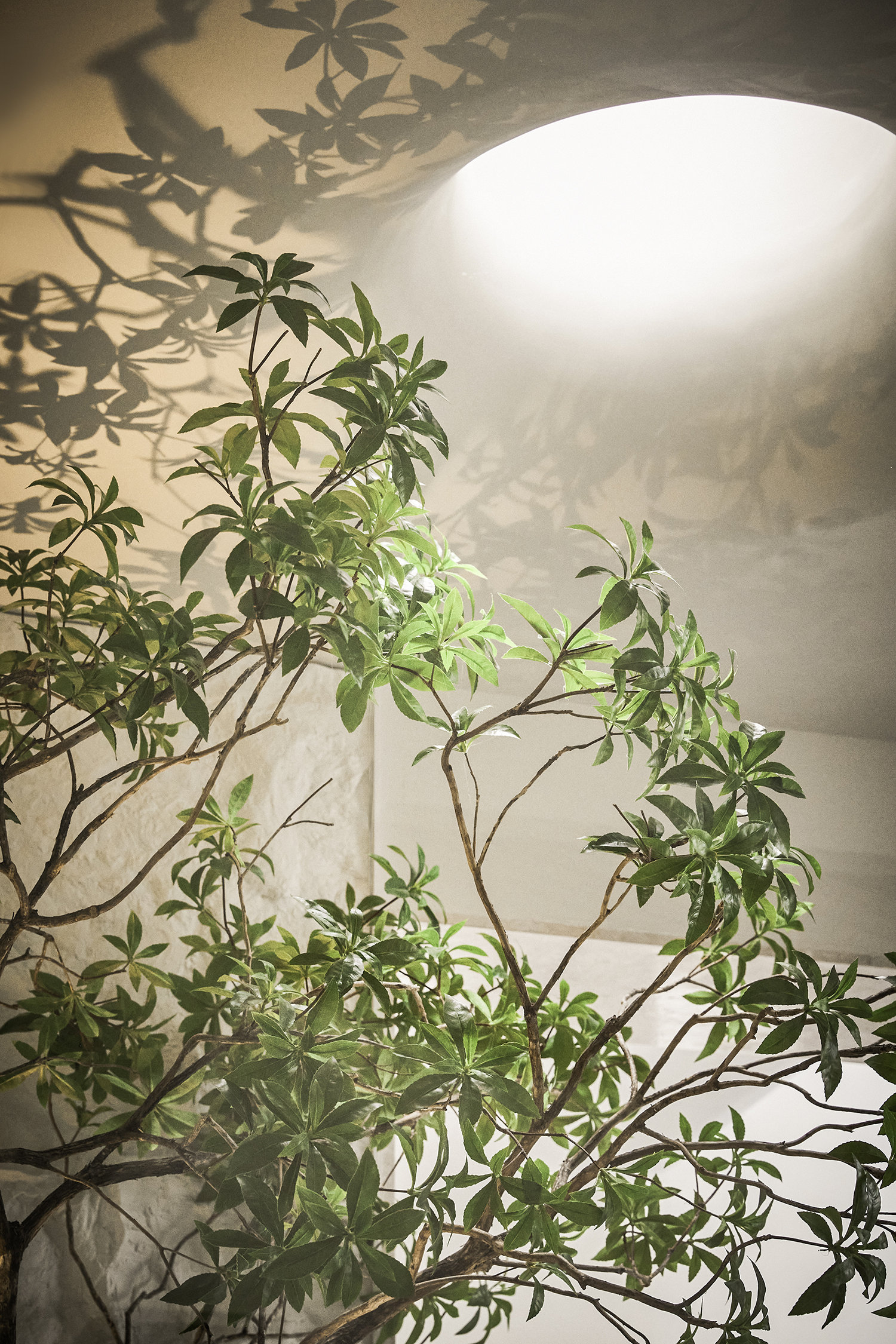 瑞岚雅筑丨中国广州丨深作建筑空间事务所-35