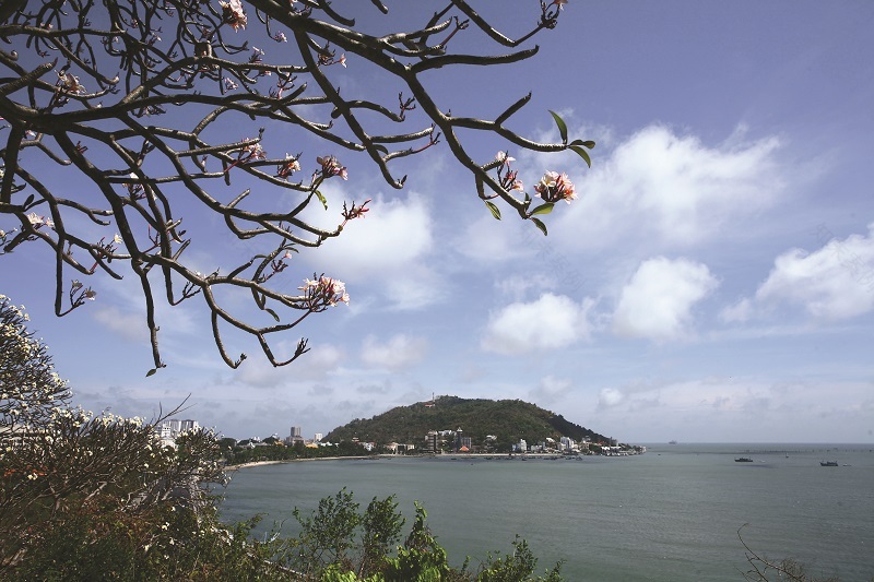 Bạch Dinh Vũng Tàu(头顿白宫)丨越南-11