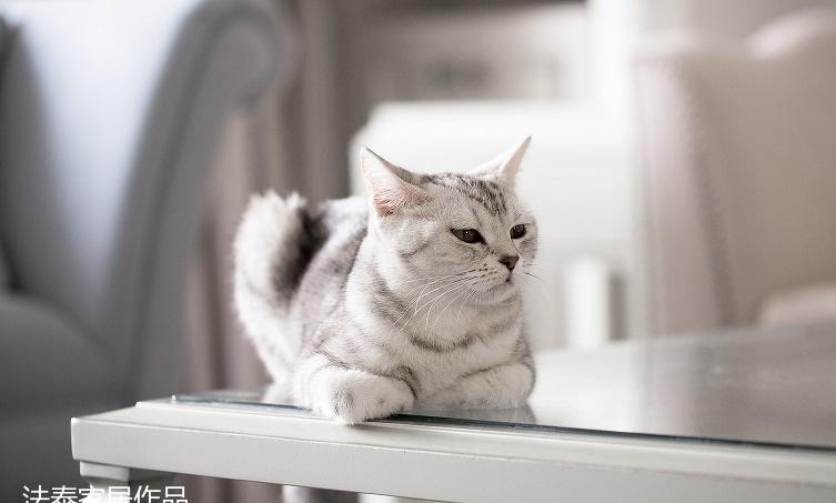 法泰家居 190㎡现代美式,精致生活新体验-6