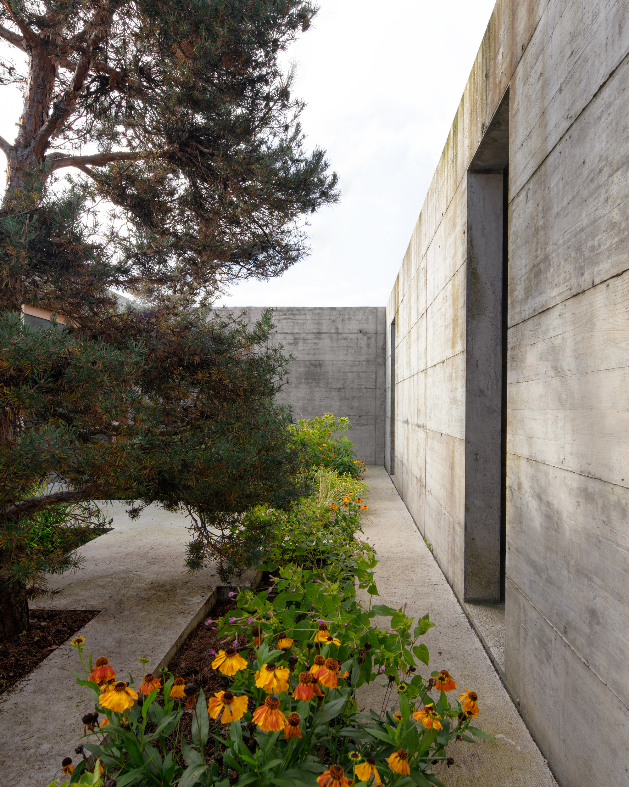 丨德国丨BÜRO MÜHLBAUER-13