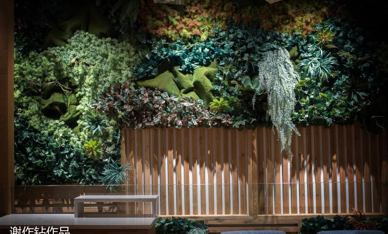 
杨小宝捞烫实景图 -16