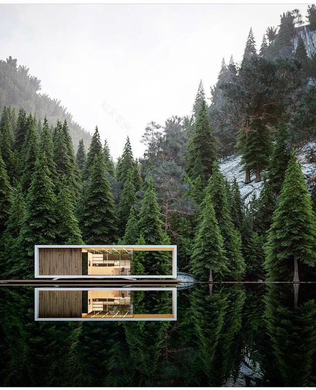 极简主义别墅,融入自然的艺术魅力-65