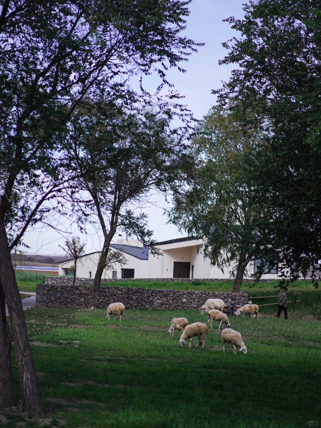 乌兰察布兴和县涝利海物生其地民宿景观丨蒙古丨茧梵景观设计咨询(上海)有限公司-43