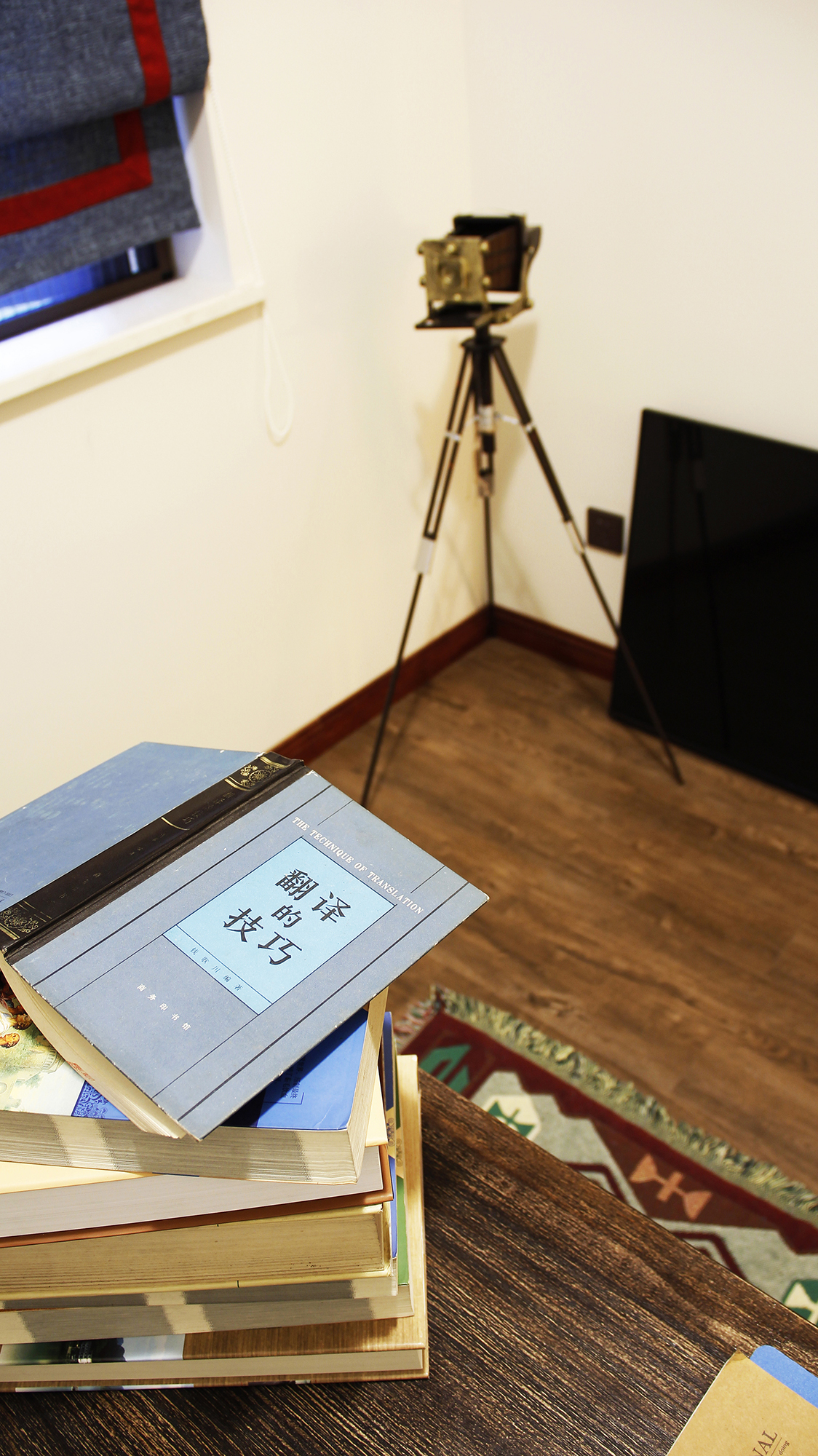 现代简美蜗居-11