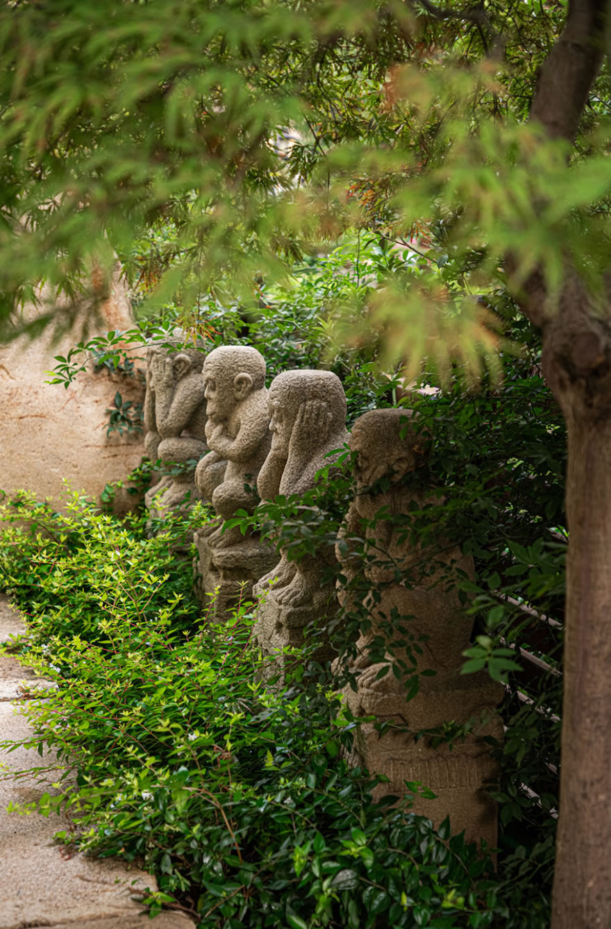 素白丨中国泰州丨本意空间-2