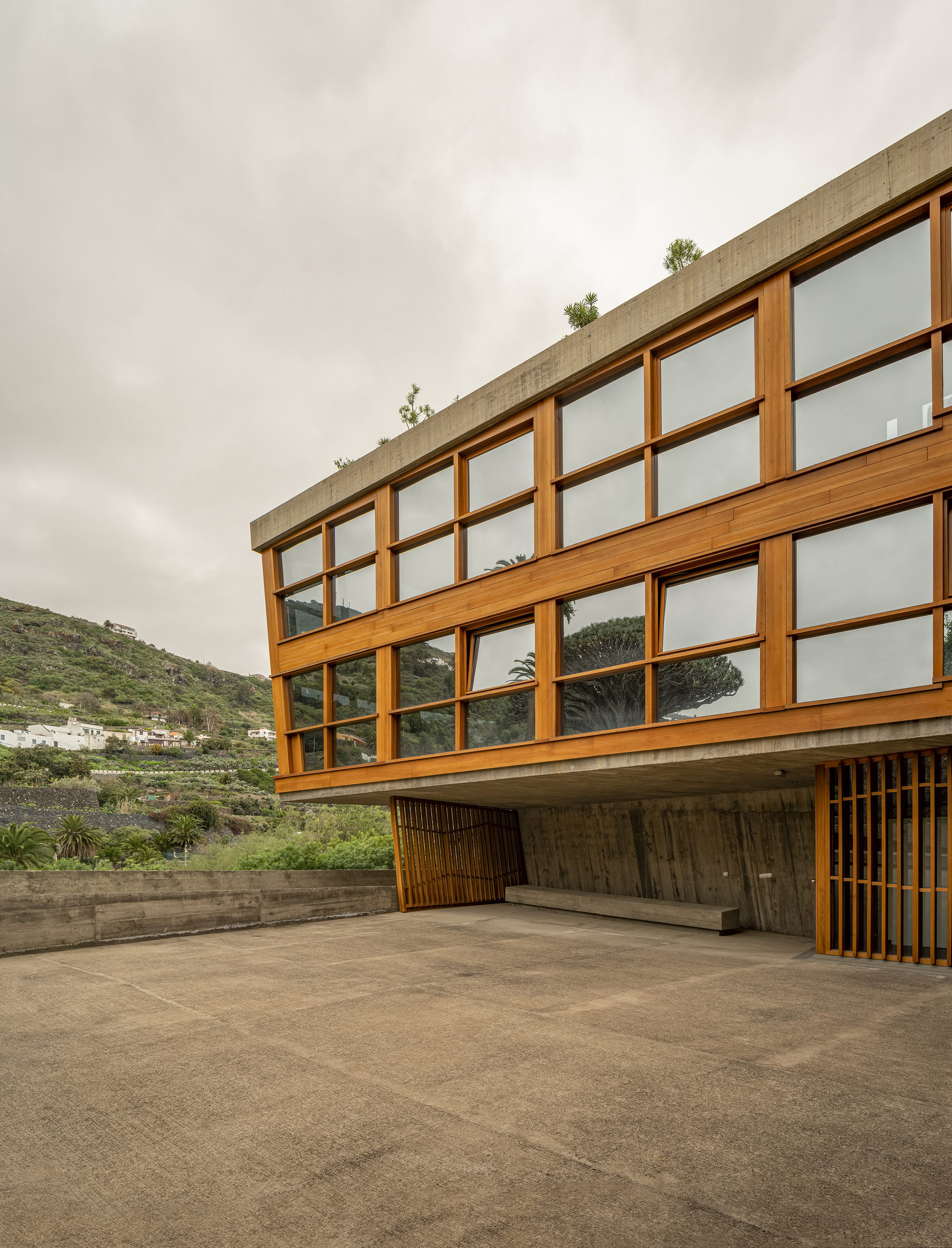 德拉戈植物园丨Fernando Menis-13