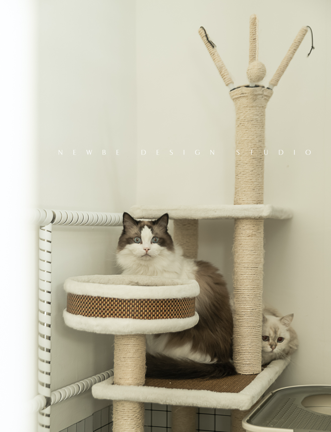 《空谷余音》600㎡别墅设计丨李康,张茜-48