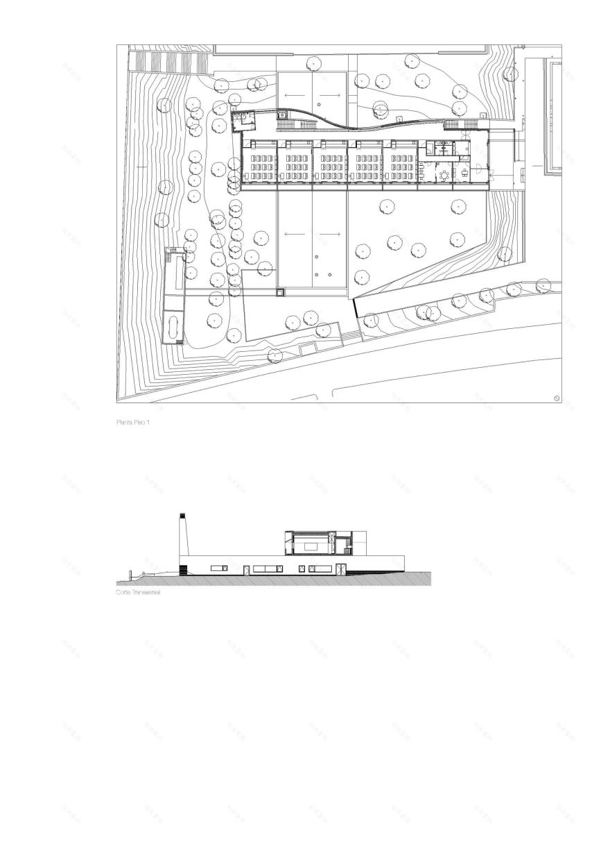 绿意盎然的小学扩建设计-4