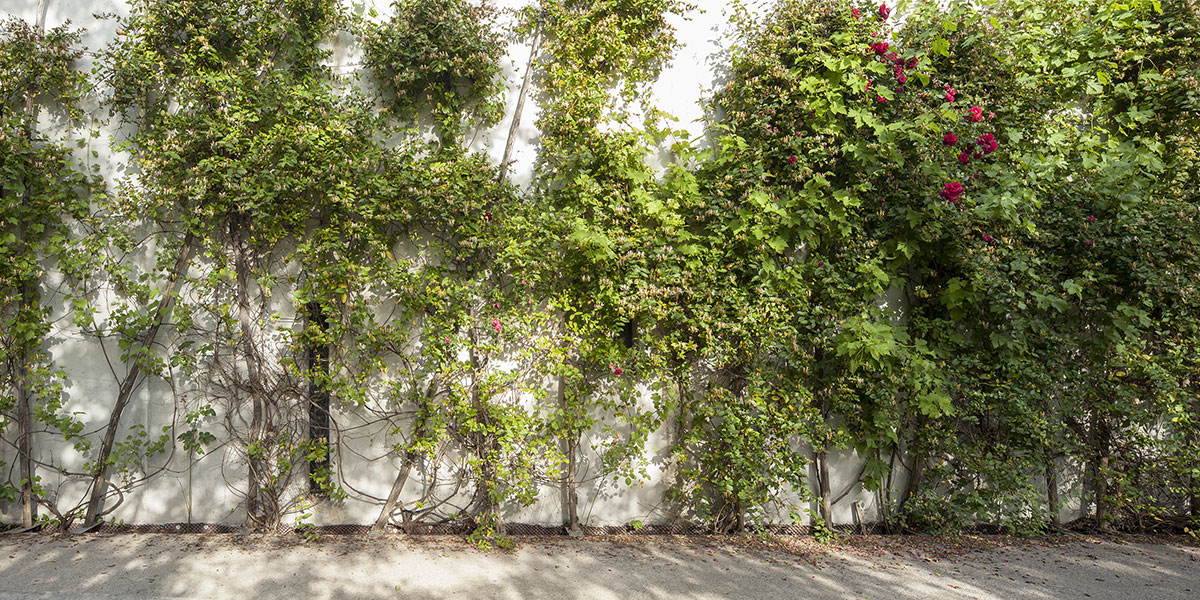 丨CoCo architecture-9