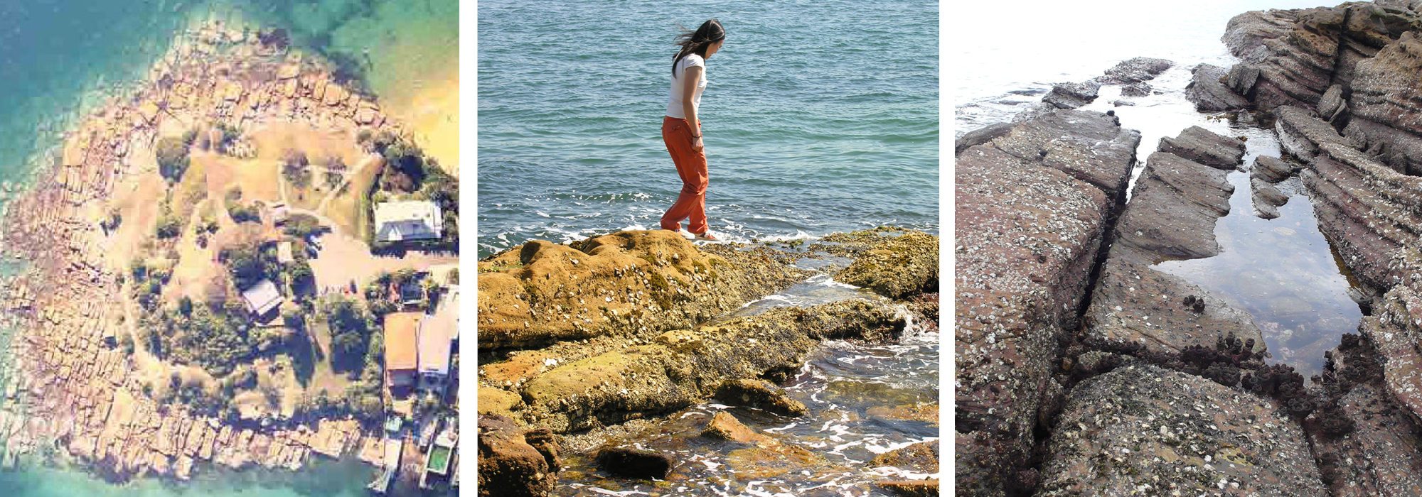 Barangaroo Reserve — PWP-1