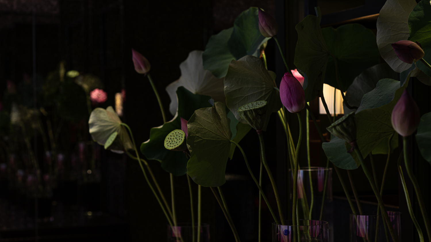 湘之荷·紫园餐厅丨中国杭州丨雷健（Ray）,李闻,张宇-41