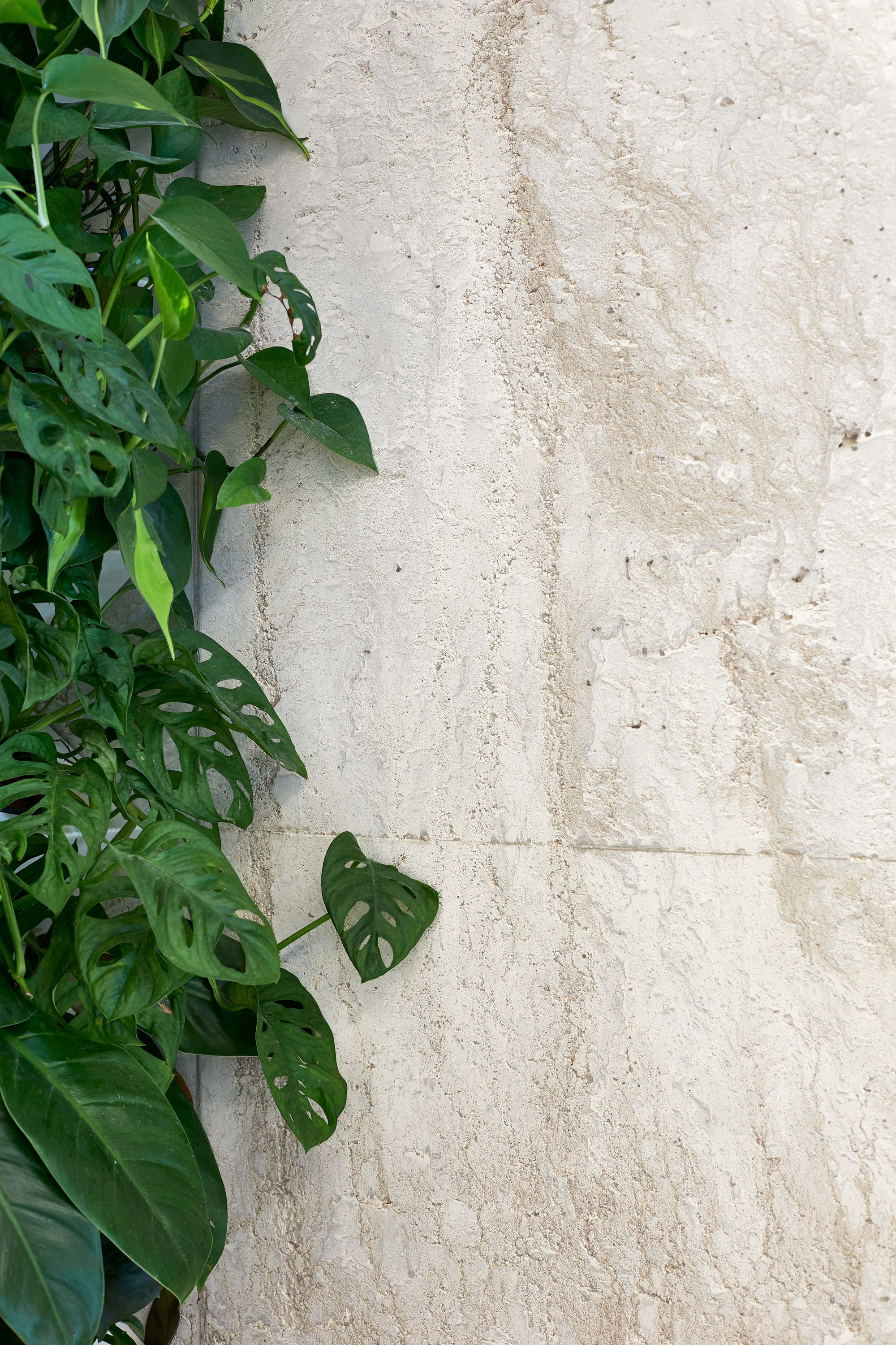 Ogre Central Library and Marriage Registry  / PBR Architects Bureau-47