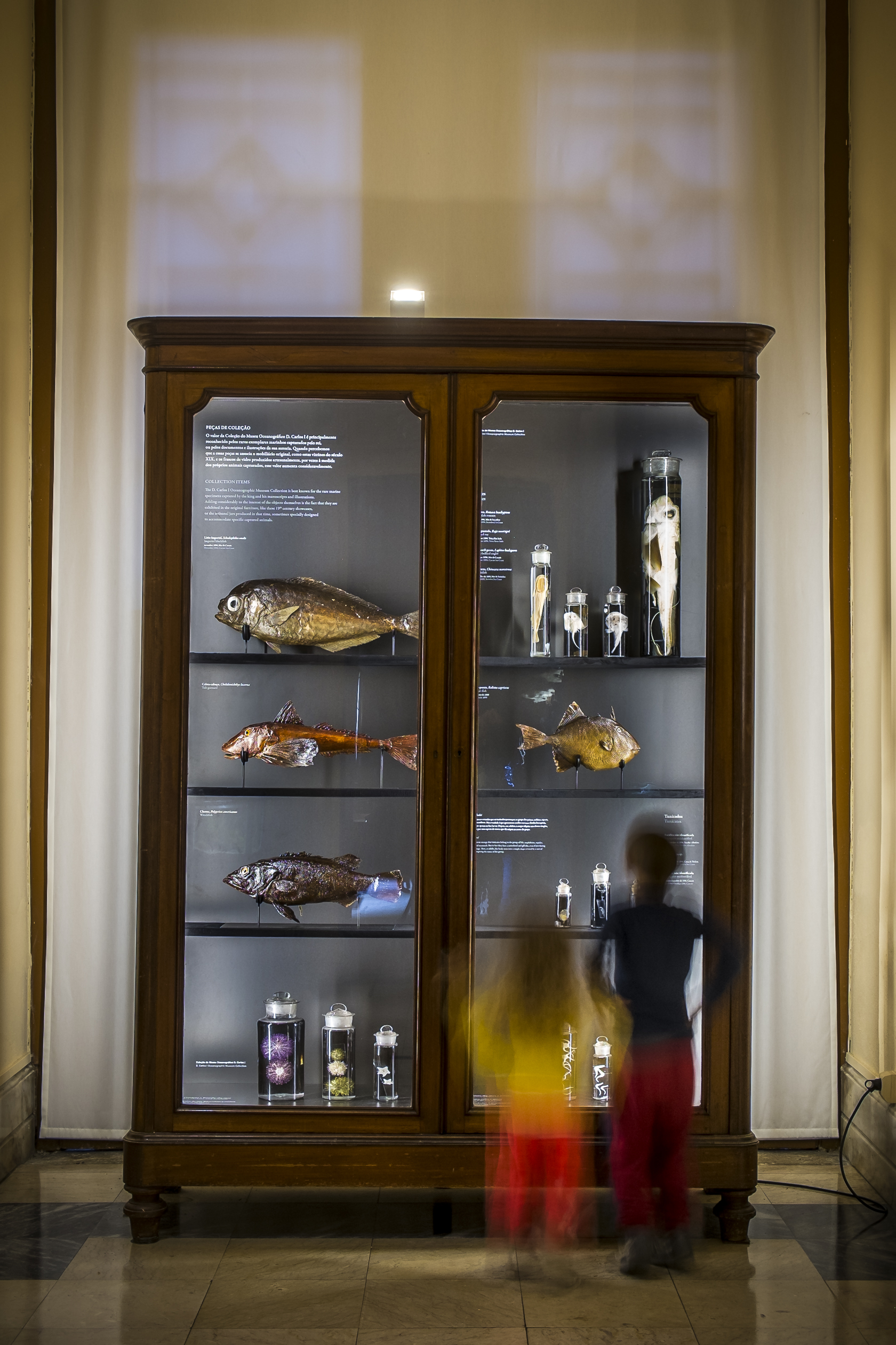 aquario vasco da gama-14