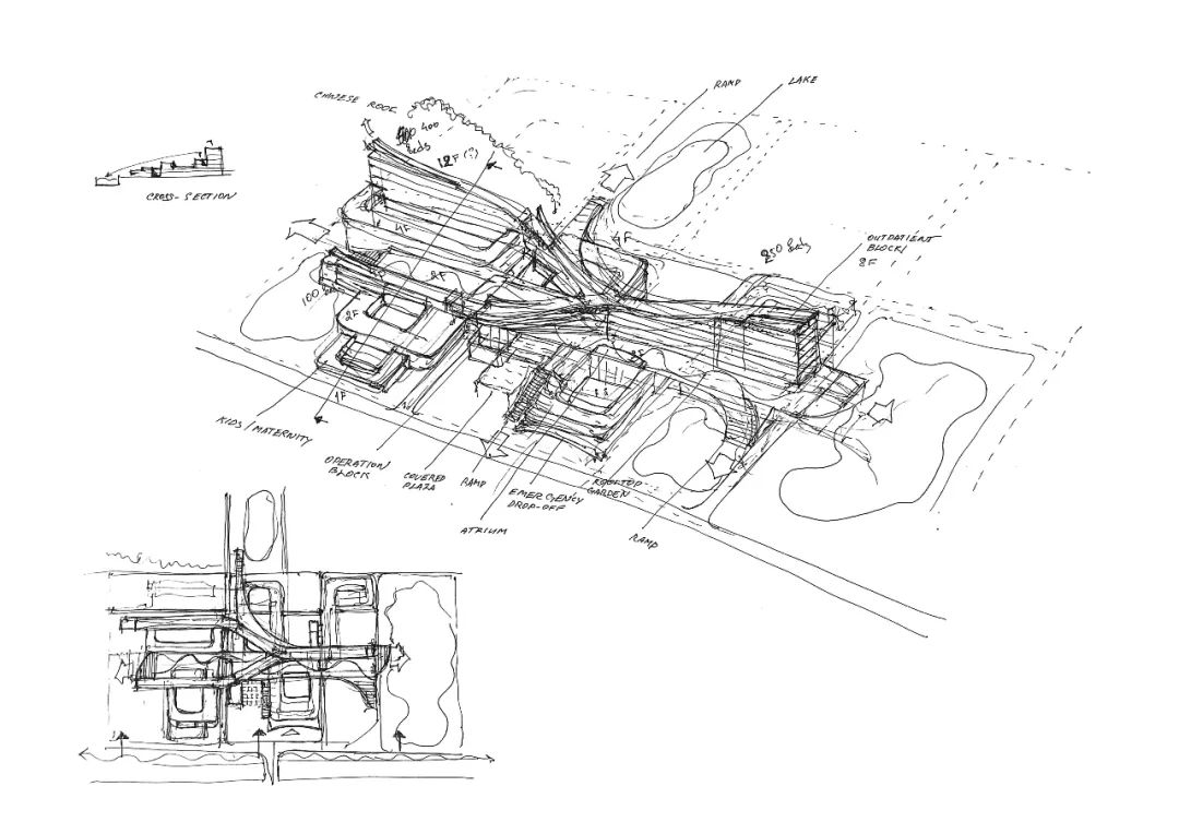 三个医院和一个“大”的梦想丨中国东营-24