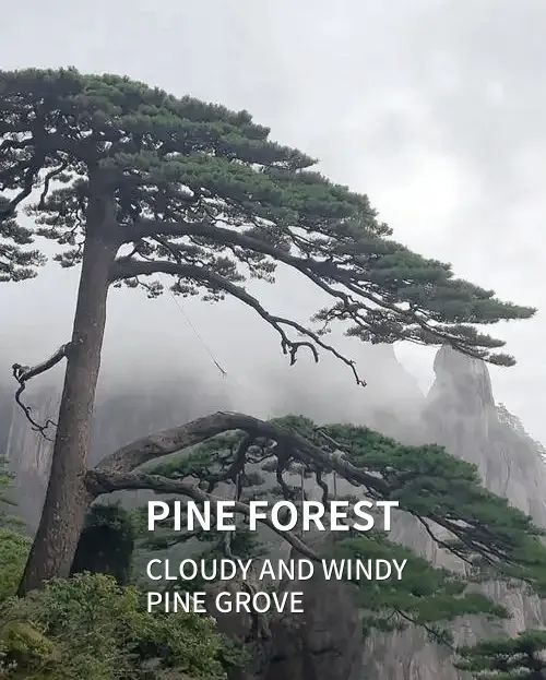 MDG首发 | 春光映画-41