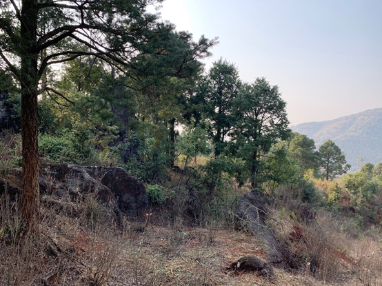 自然共生,心灵栖息的汉华天马山温泉酒店-111